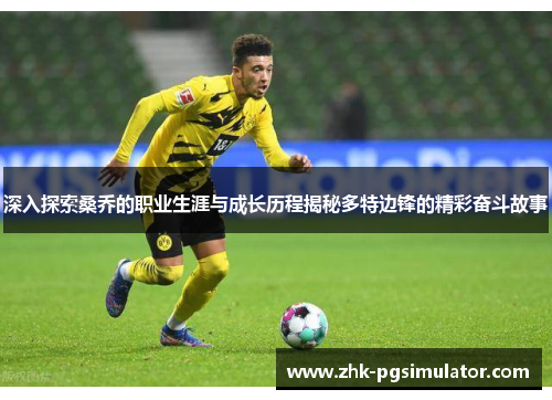 深入探索桑乔的职业生涯与成长历程揭秘多特边锋的精彩奋斗故事 深入探索桑乔的职业生涯与成长历程揭秘多特边锋的精彩奋斗故事