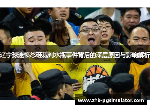 辽宁球迷愤怒砸裁判水瓶事件背后的深层原因与影响解析