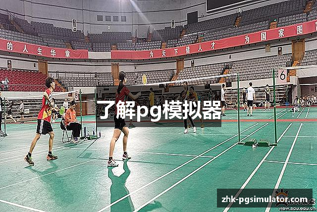 了解pg模拟器